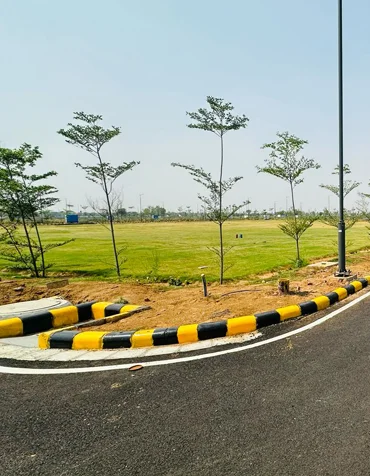 swastik greens image